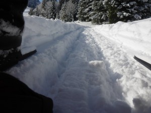 huskystuff-aktivitäten-blog-20170206-tt-13