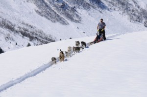 huskystuff-blog-news-20170430-wintergefühle-hundeschlitten_fahren