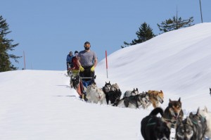 huskystuff-blog-news-20170430-wintergefühle-husky_event