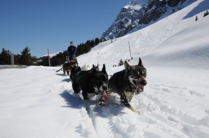 huskystuff-blog-news-20170430-wintergefühle-huskytour