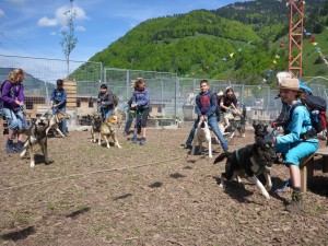 huskystuff-aktivitäten-blog-20170524-07  