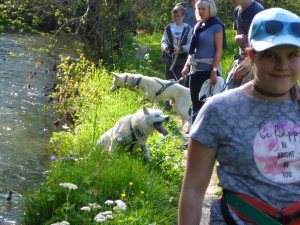 huskystuff-aktivitäten-blog-20170524-09  