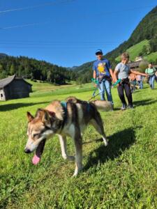 Husytrekking im PluSport Kidscamp